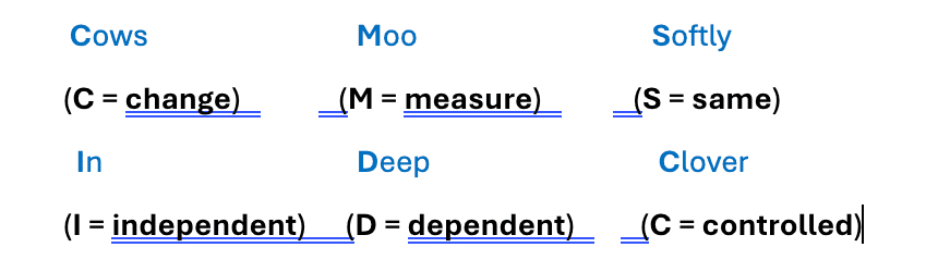 A set of words that are written in different languages