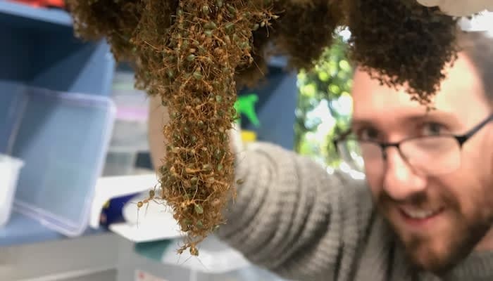 A man holding up a bunch of insects