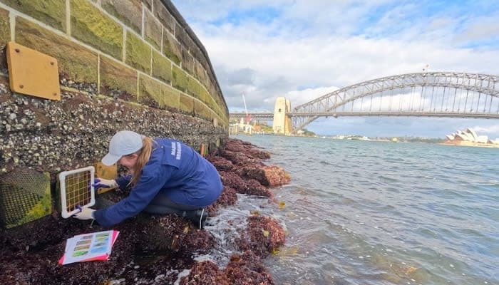 A man kneeling down next to a wall near the ocean