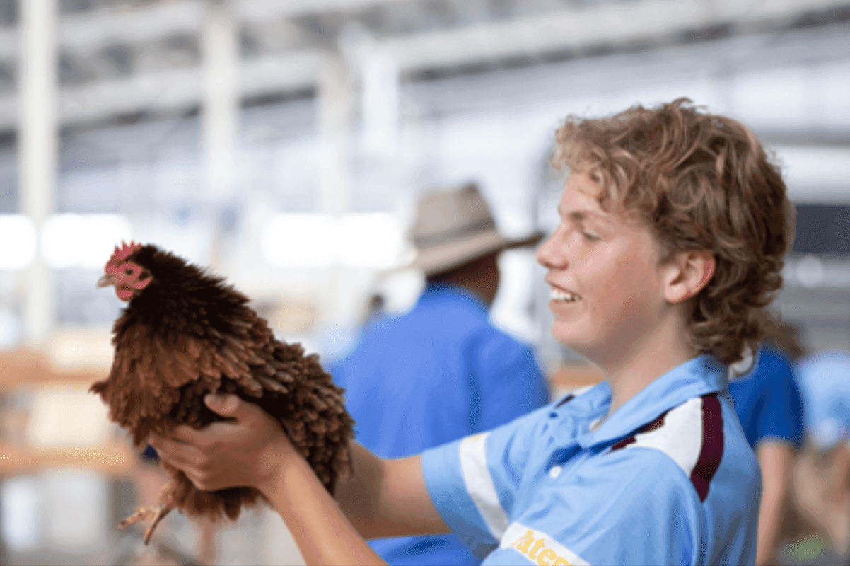 A boy holding a chicken in a factory