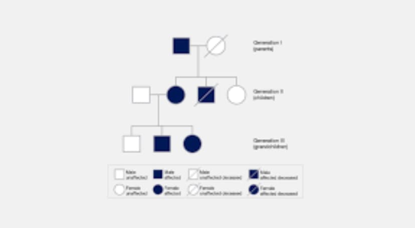 A diagram of a family tree with blue and white circles