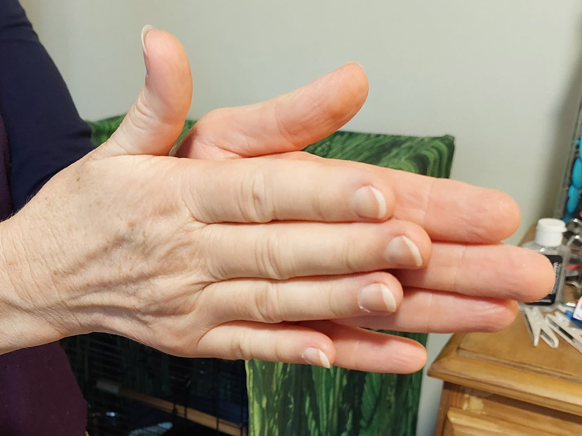 A person holding a piece of food in their hand