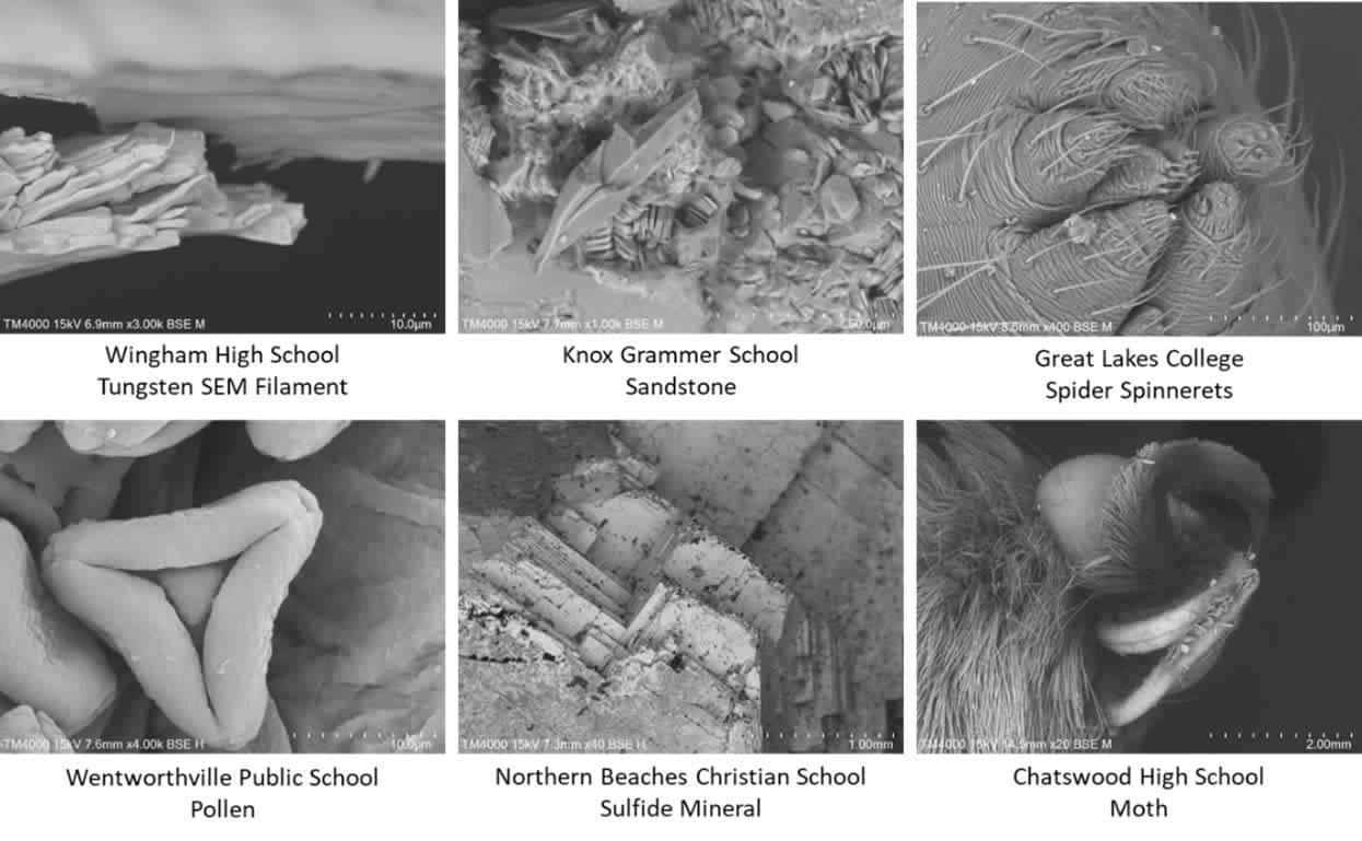 A bunch of pictures of different things in black and white